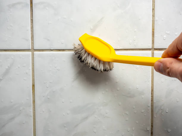 Best Mold Removal Near Me  in Plymouth Meeting, PA